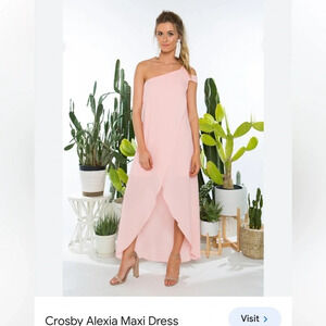 Crosby by Mollie Burch Alexia One Shoulder Formal Maxi Dress